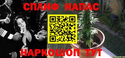 трава Комсомольск-на-Амуре